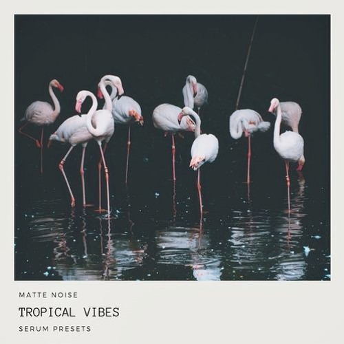 GOGOi – Tropical Vibes