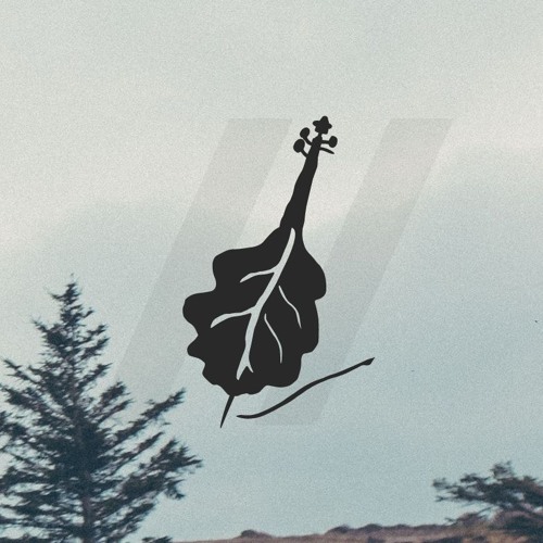Waverunner Audio – Alder Cello (KONTAKT)