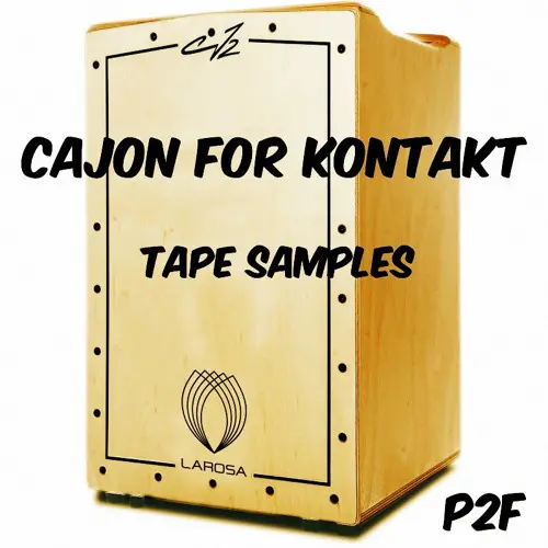 Past to Future Reverbs – P2F Cajon (KONTAKT)