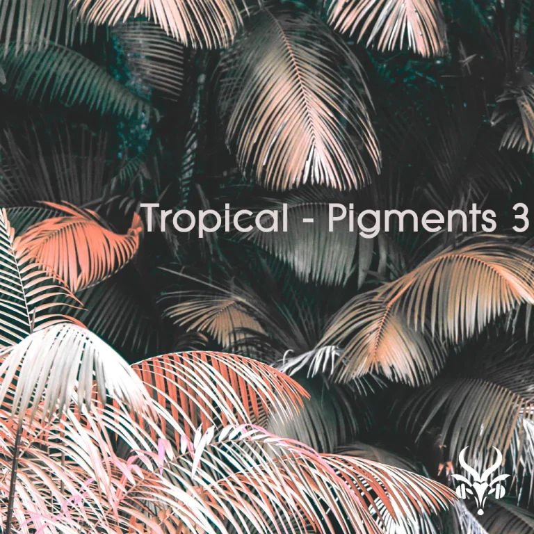 Producerloops – Vicious Antelope Tropical Pigments 3 (SOUNDBANK)